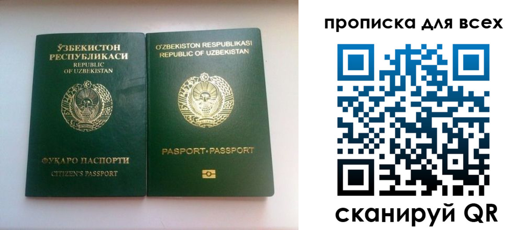 прописка для школы в Белой Холунице